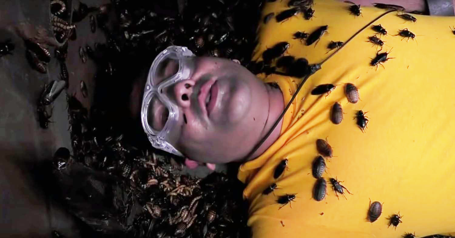 naughty boy I'm a celeb