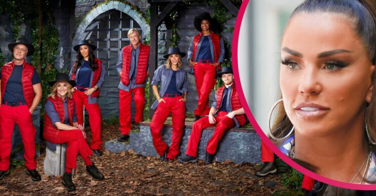 I'm a celebrity cast