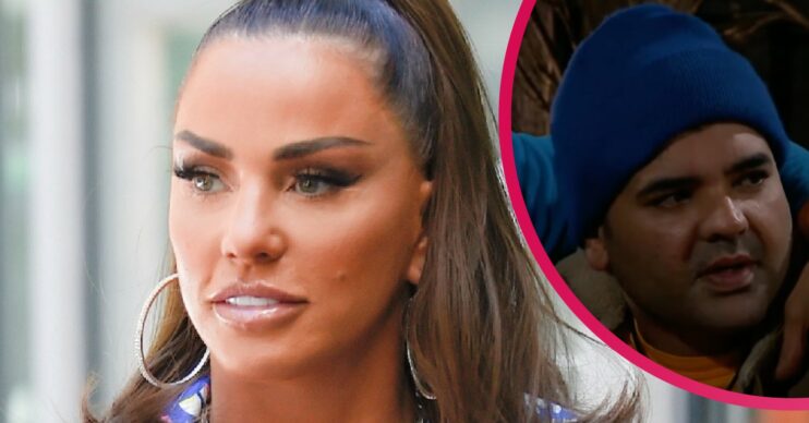 Katie Price, Naughty Boy, I'm A Celebrity