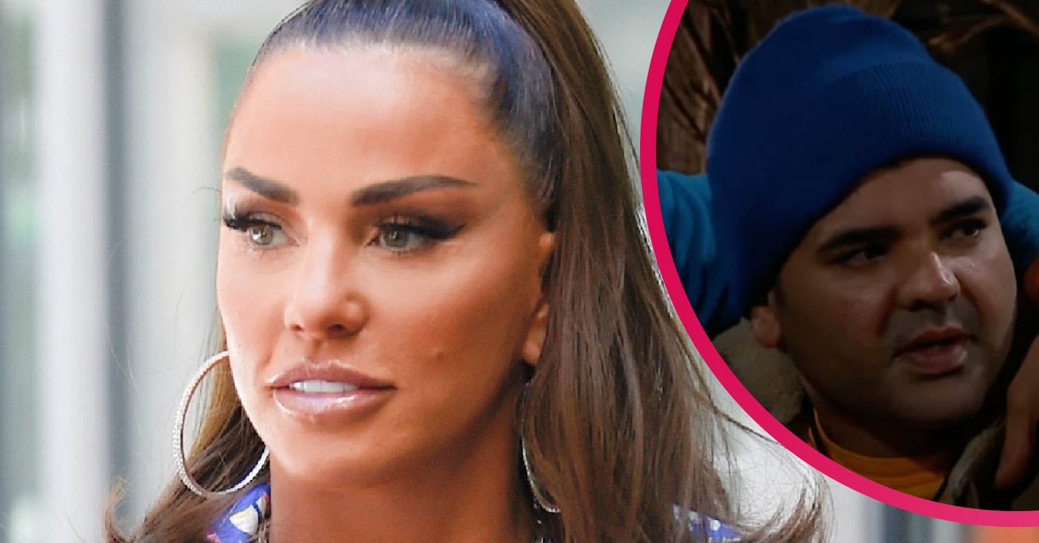 Katie Price, Naughty Boy, I'm A Celebrity