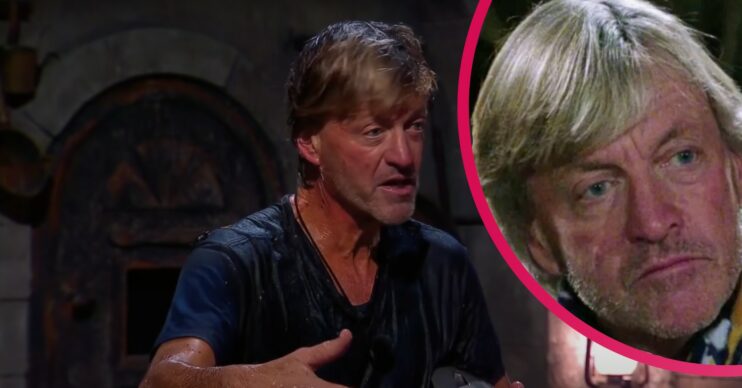Richard Madeley on I'm A Celebrity