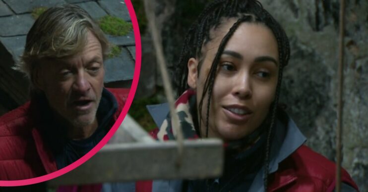 I'm a celebrity news