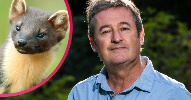 Wild Gardener Colin Stafford-Johnson