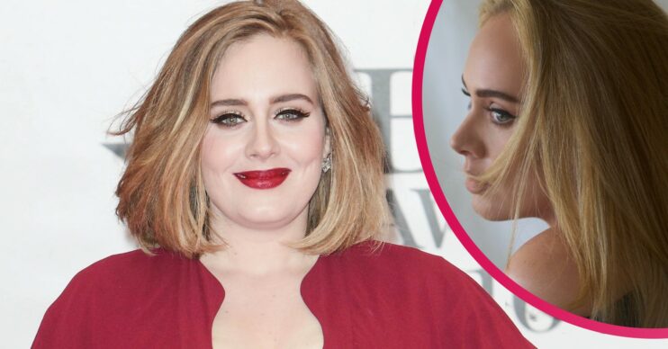 Adele weight loss