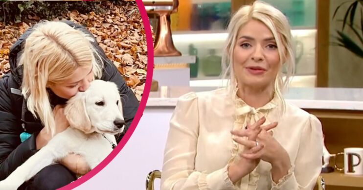 Holly Willoughby dog