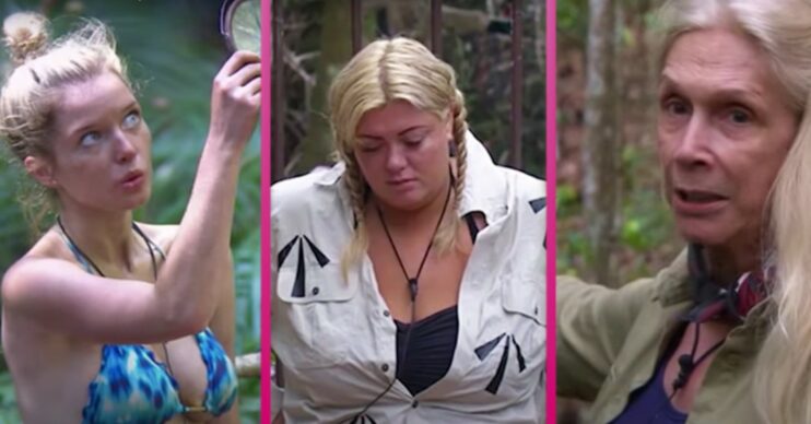 I'm A Celebrity divas