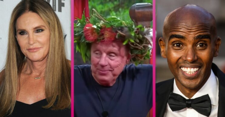 I'm A Celebrity line up