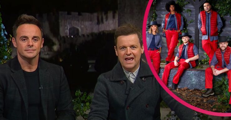 Ant and Dec and I'm A Celebrity 2021 stars