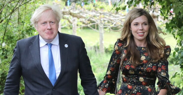 Boris Johnson baby