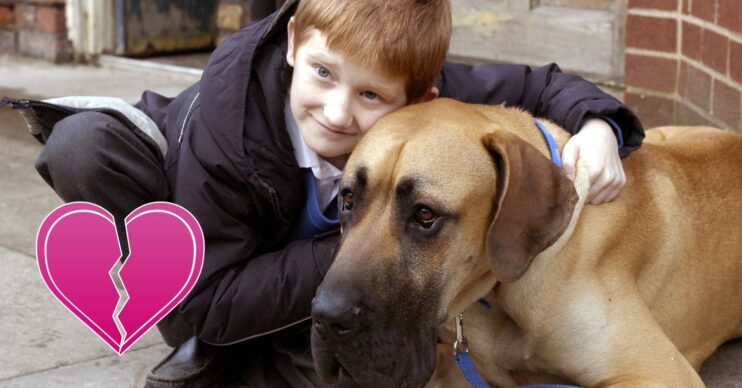 Coronation Street's Chesney and Schmeichel and a broken heart