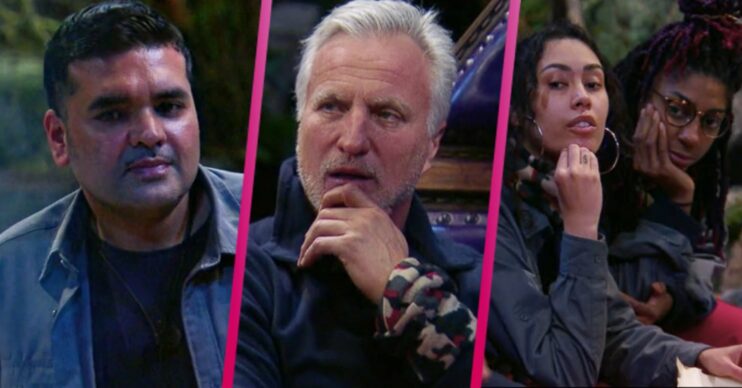 I'm A Celebrity star David Ginola
