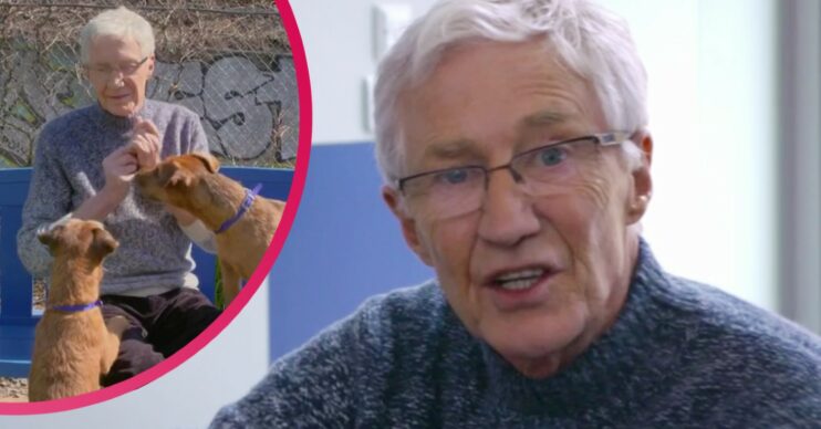 Paul O'Grady on For The Love Of Dogs