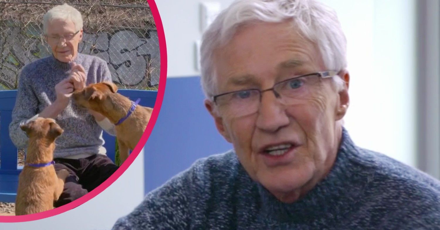 Paul O'Grady on For The Love Of Dogs