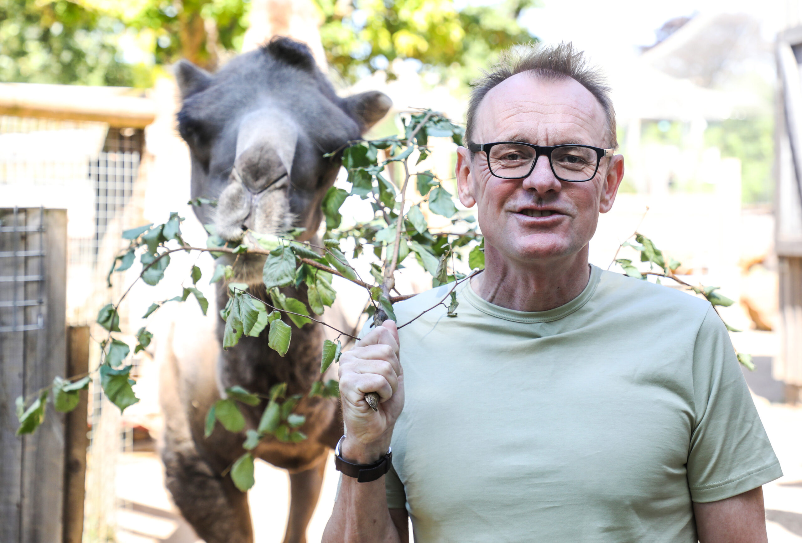 Sean Lock
