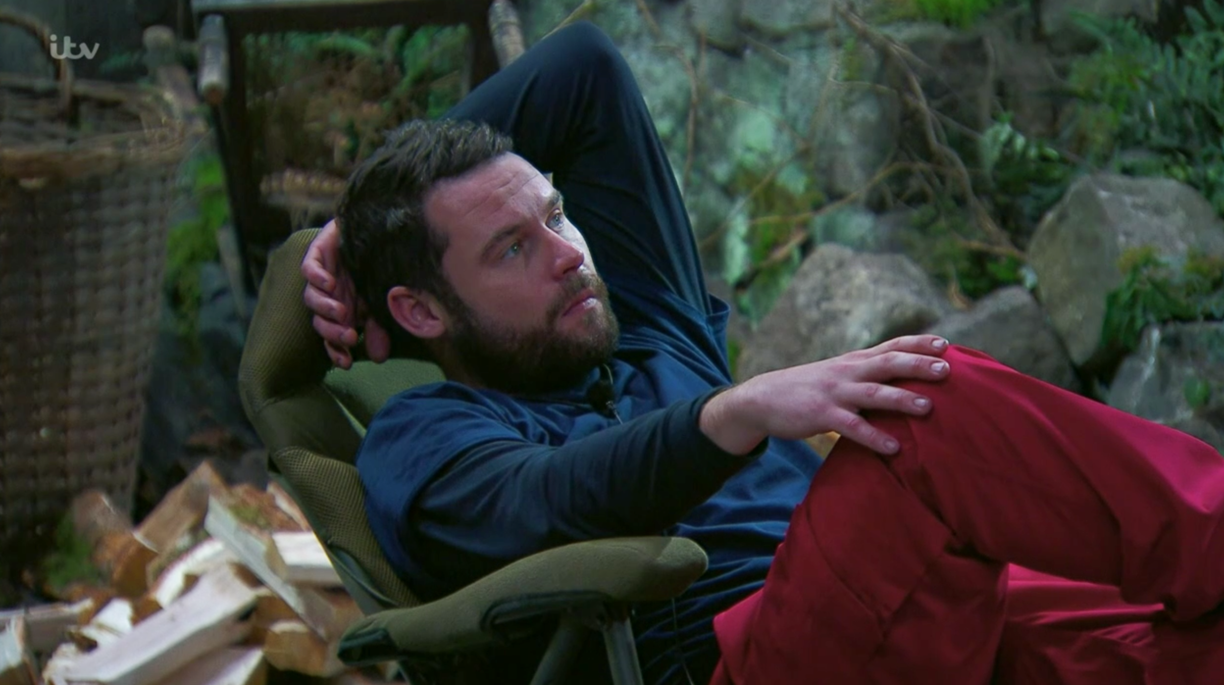 I'm a celebrity david
