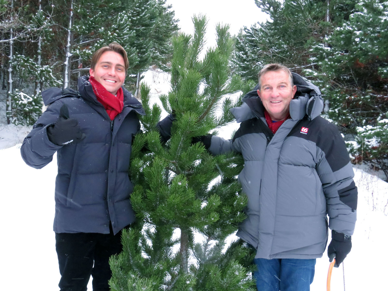 The best TV on Christmas Eve - All Creatures Great and Small - Bradley & Son: Breaking Dad 