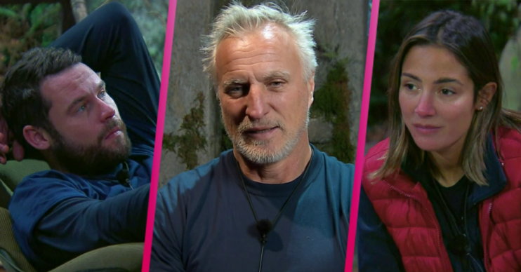I'm a celebrity david
