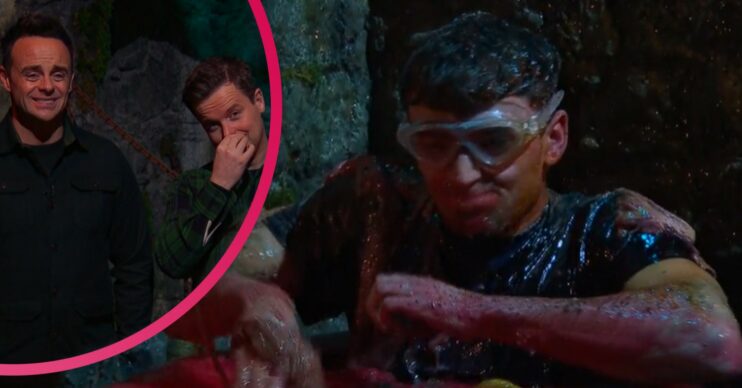 Matty Lee on I'm A Celebrity tonight