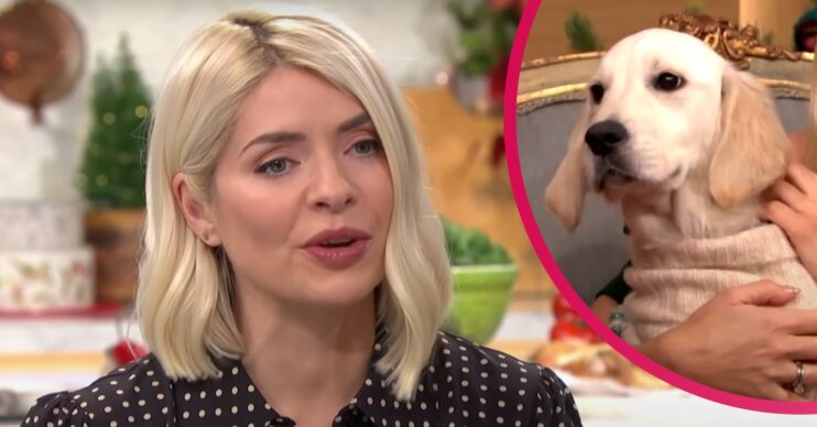 Holly Willoughby enjoys pamper day with dog ahead of This Morning return