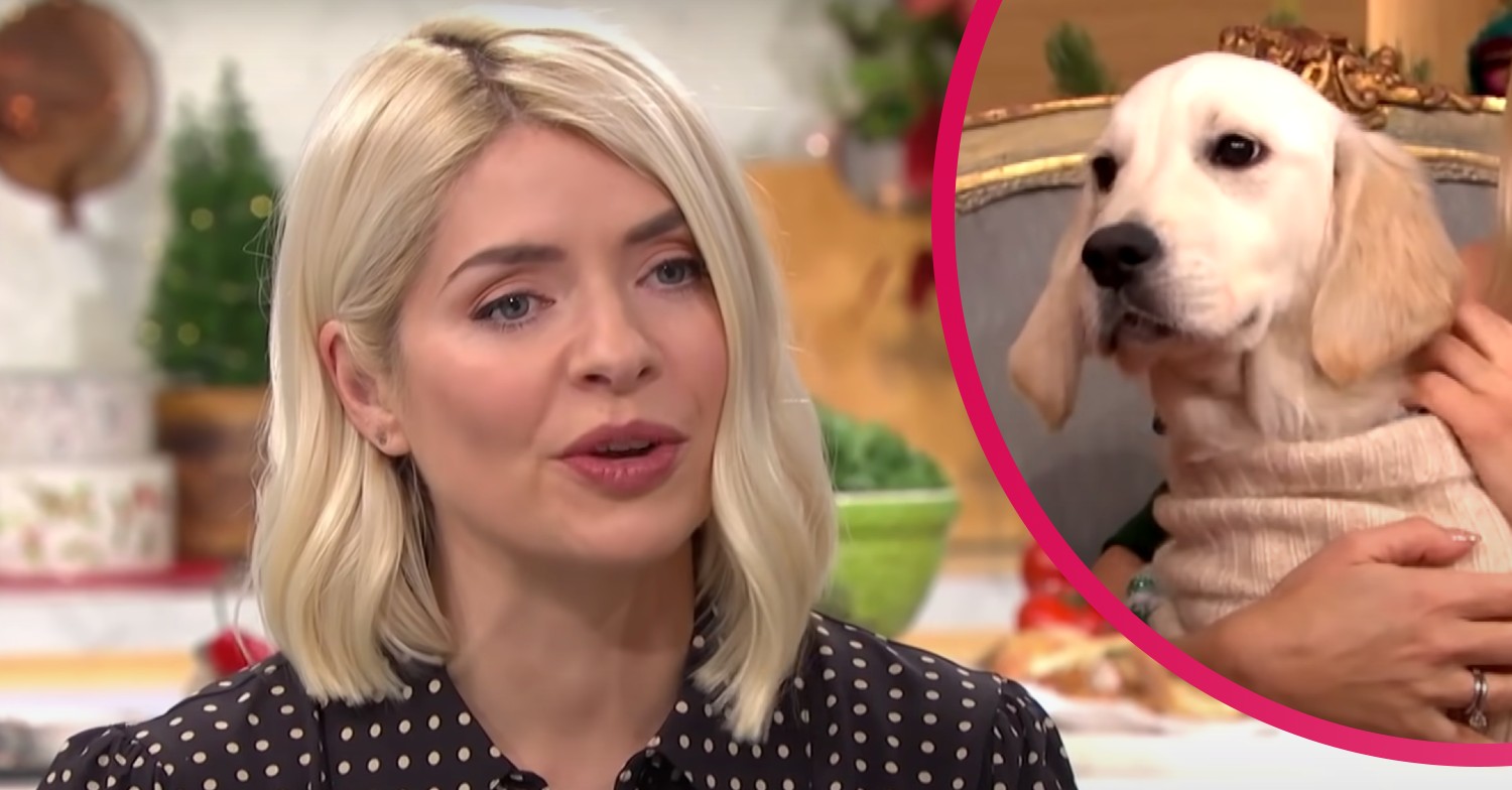 Holly Willoughby enjoys pamper day with dog ahead of This Morning return