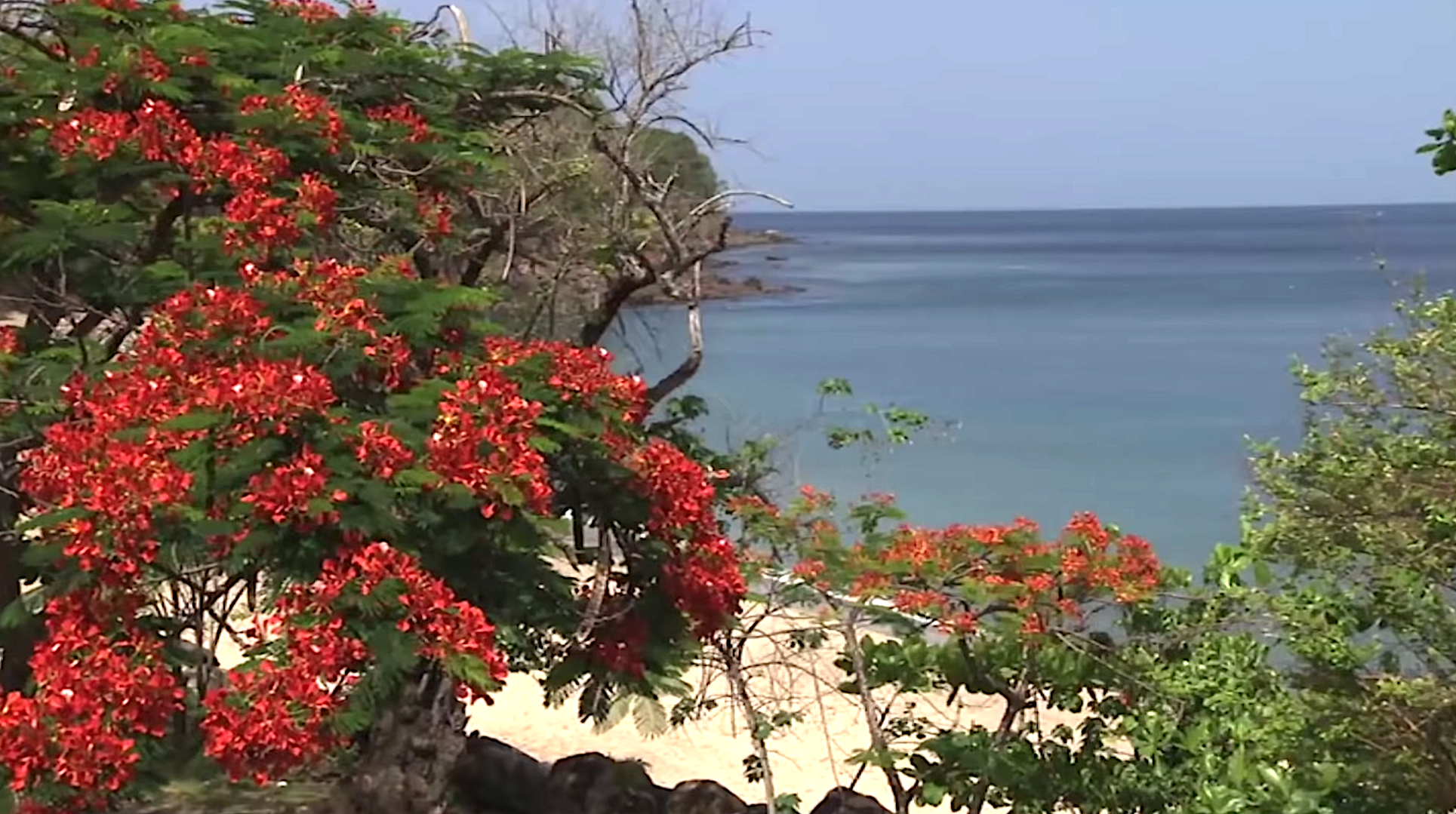 Death In Paradise: where is it filmed?