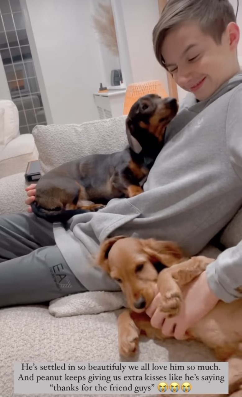 Stacey Solomon introduces puppy after Theo death