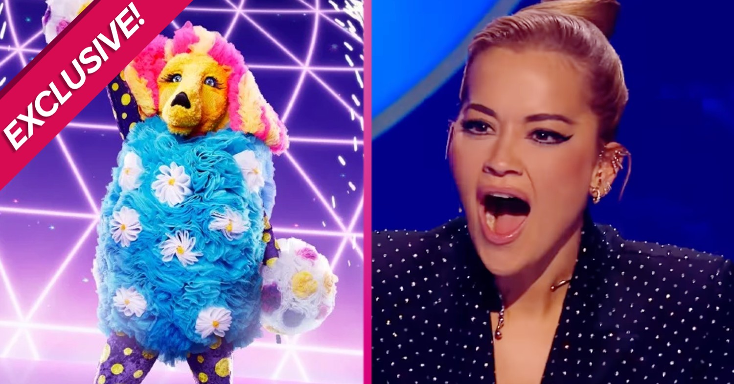 The Masked Singer