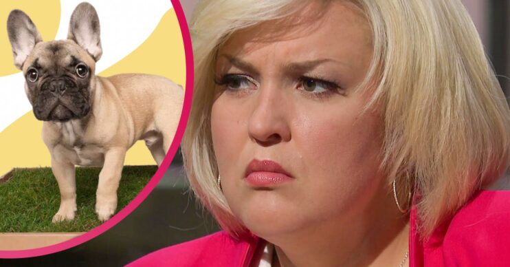 Dragons' Den series 19 episode two pitches