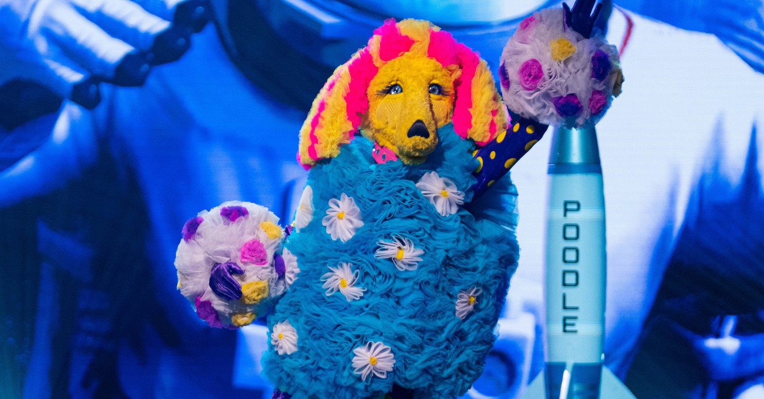 Poodle on The Masked Singer