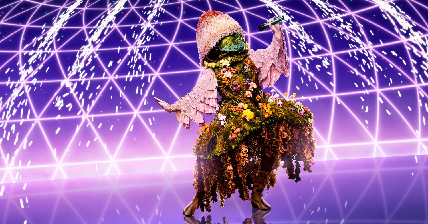 The Masked Singer Mushroom