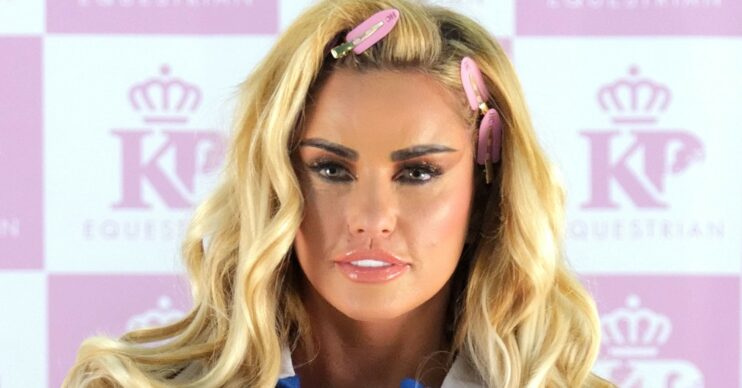 Katie Price stuns fans with latest snap