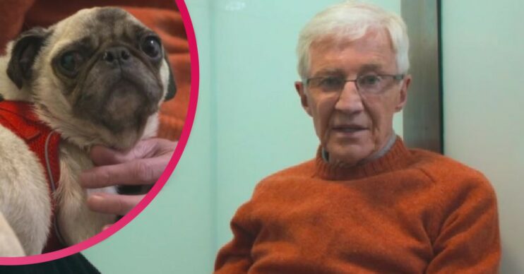 Paul O'Grady on For the Love of Dogs