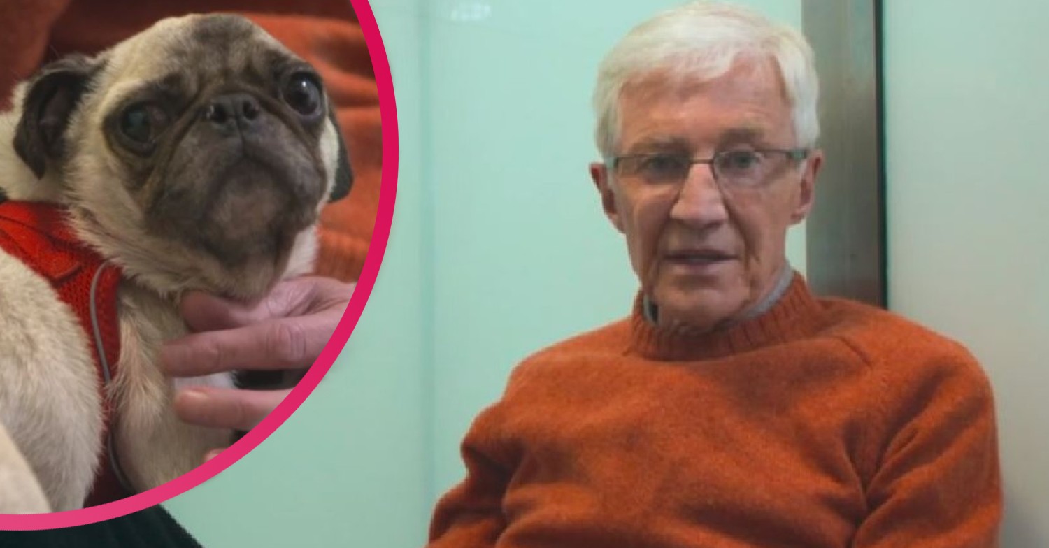 Paul O'Grady on For the Love of Dogs