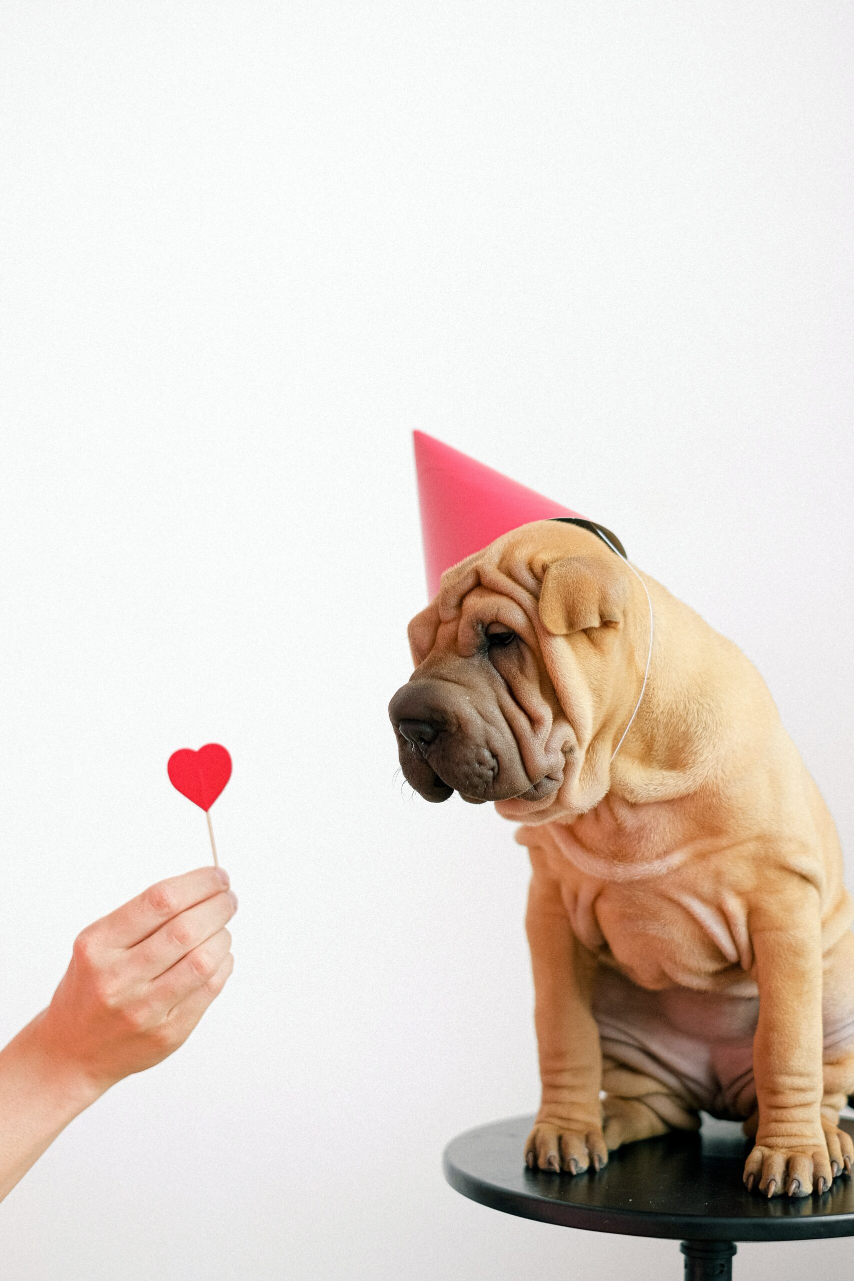 valentine's day