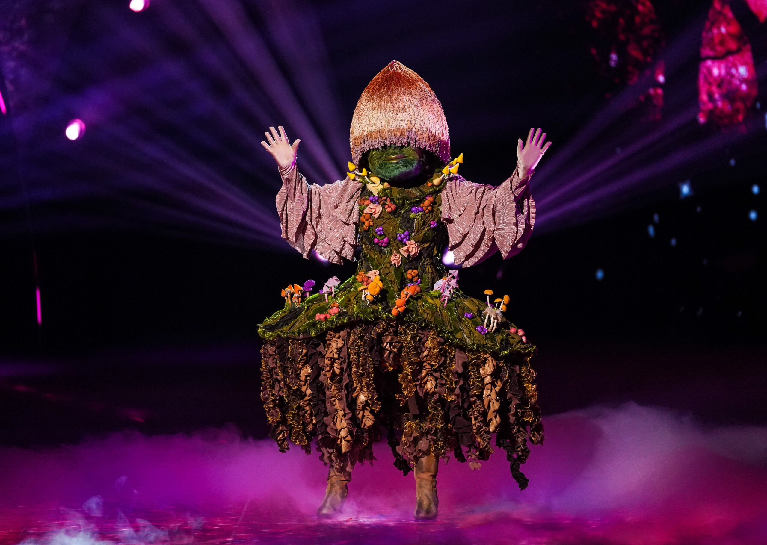 mushroom masked singer