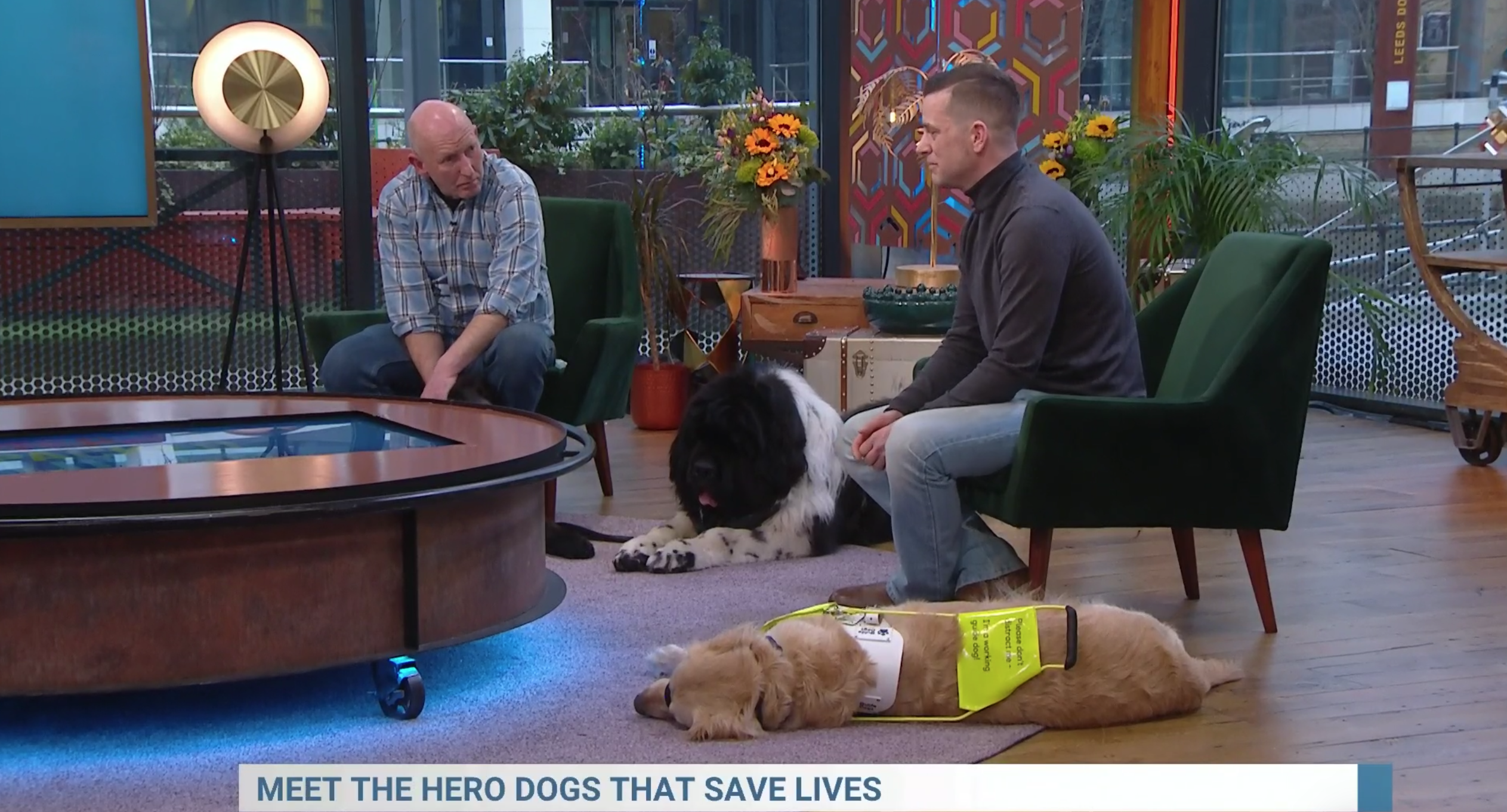 Two guests and their dogs on Steph's Packed Lunch