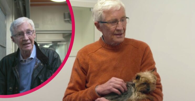 Paul O'Grady strokes as pooch on For the Love of Dogs