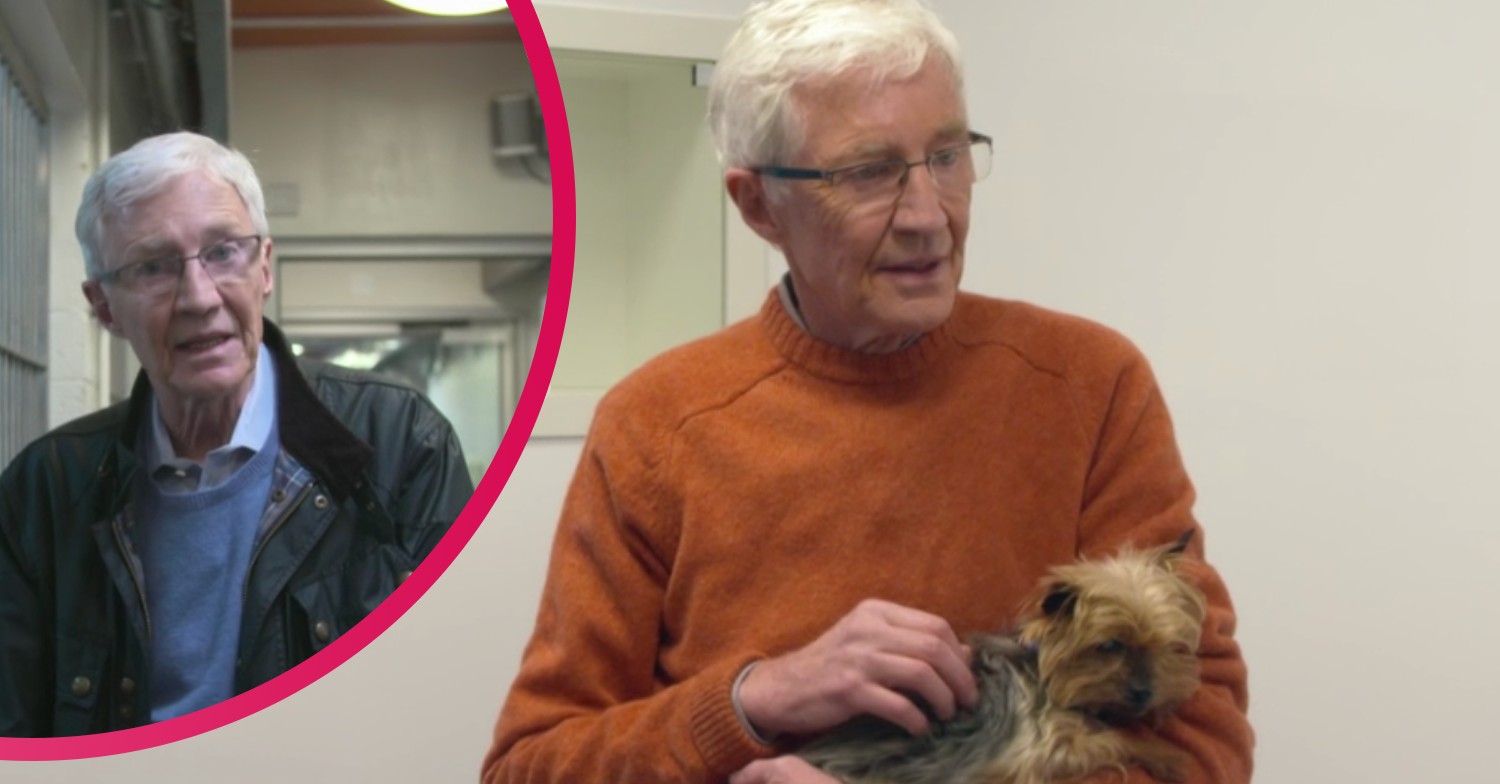 Paul O'Grady strokes as pooch on For the Love of Dogs