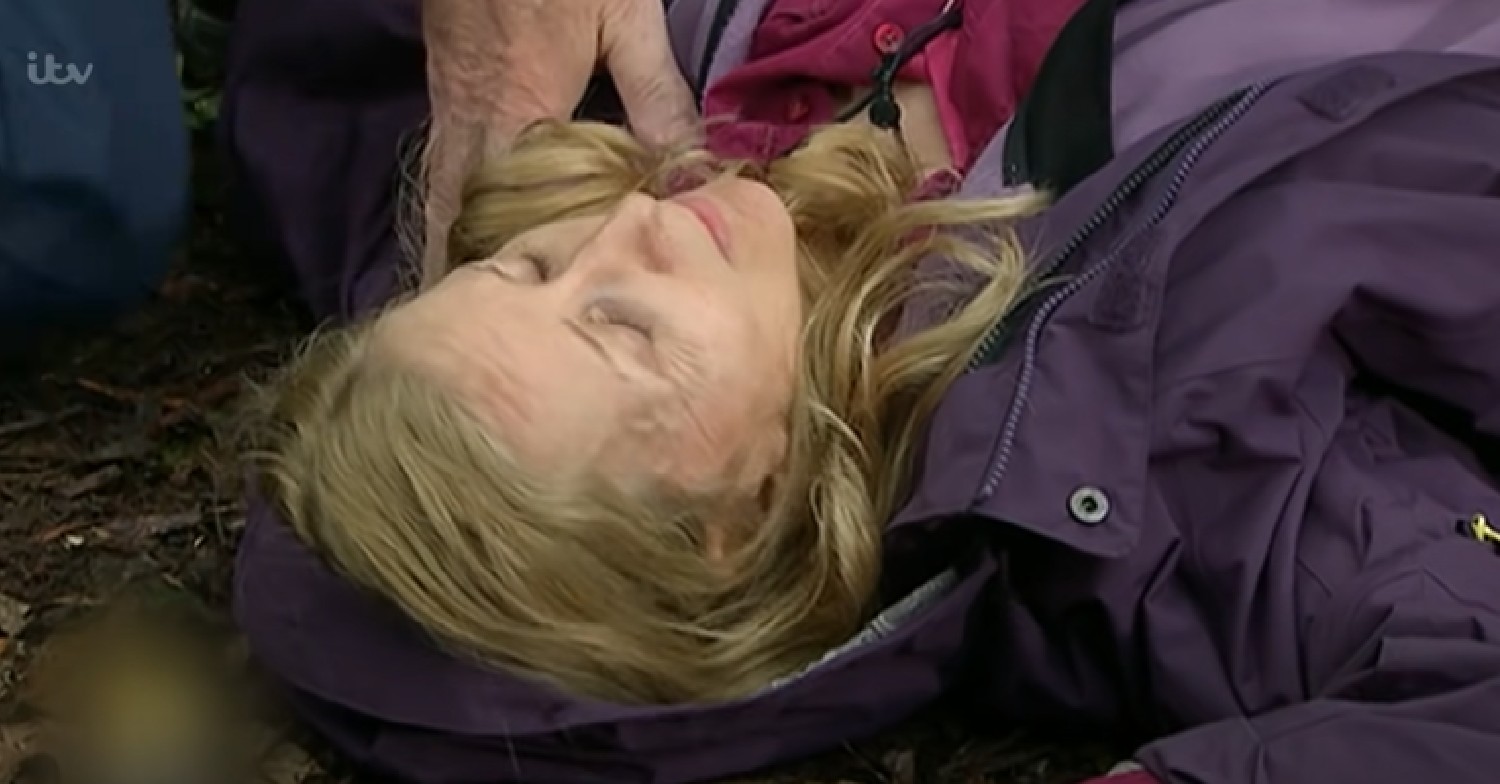 Gillian McKeith fainting during I'm A Celebrity Bushtucker trial