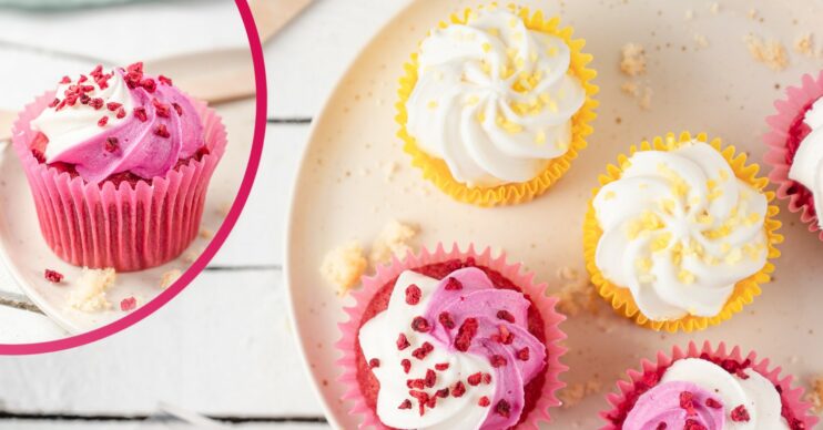 Gordon's gin cupcakes