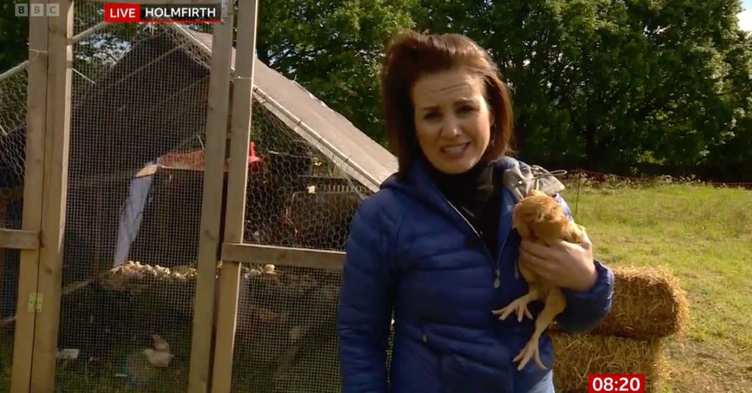 Nina Warhurst holding a chicken on a chicken farm while reporting for BBC Breakfast today