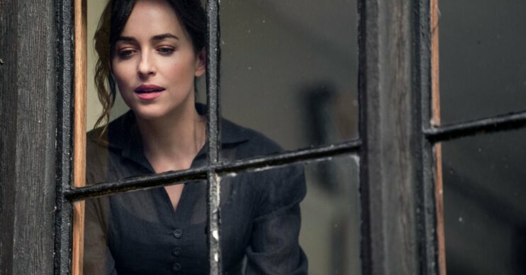 Dakota Johnson looks out of a window as Anne Elliot in Netflix's Adaptation of Persuasion