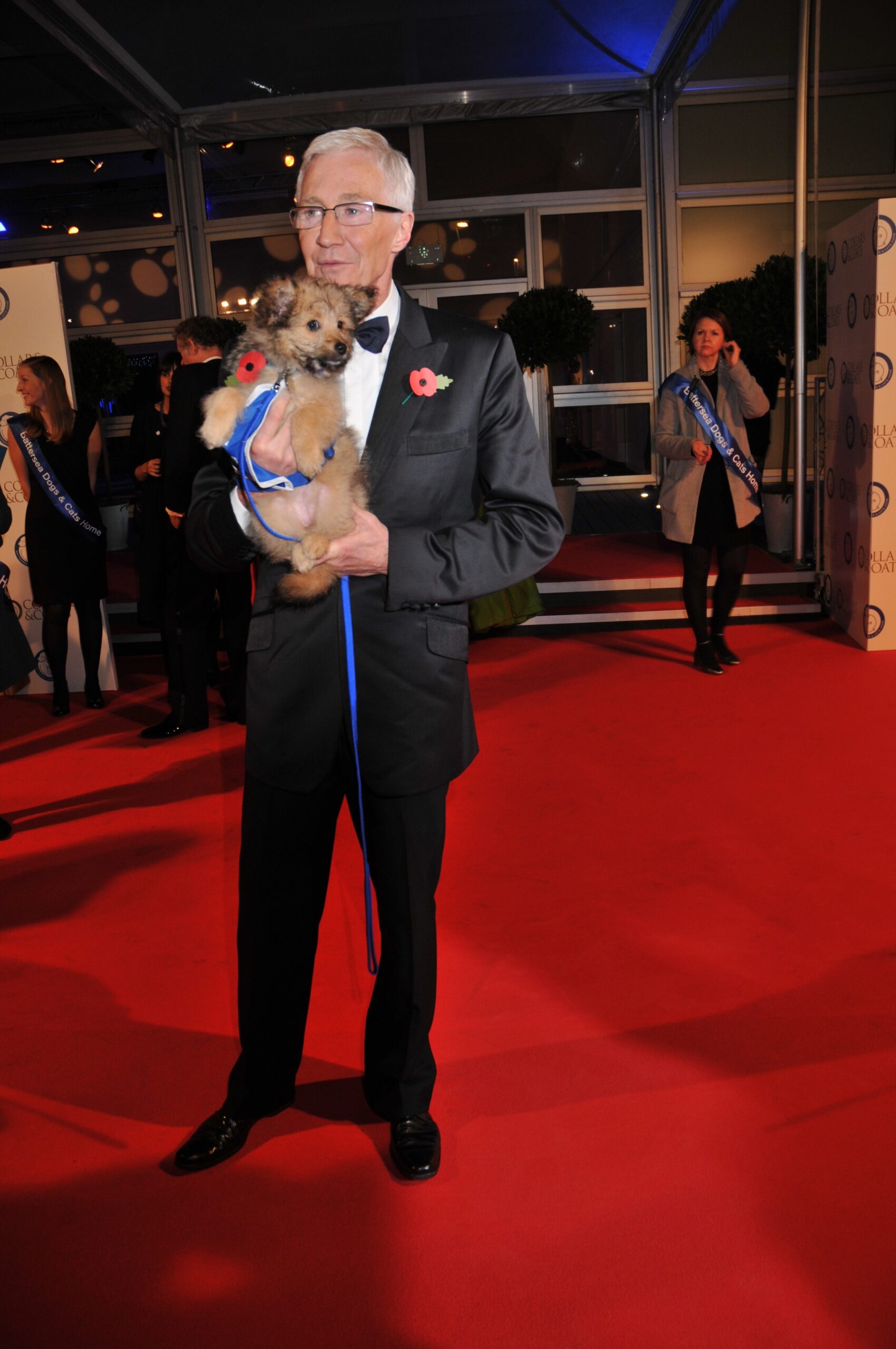 Paul O'Grady holding a dog on the red carpet