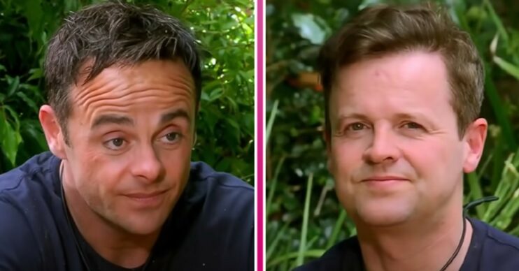 Ant and Dec on I'm A Celebrity