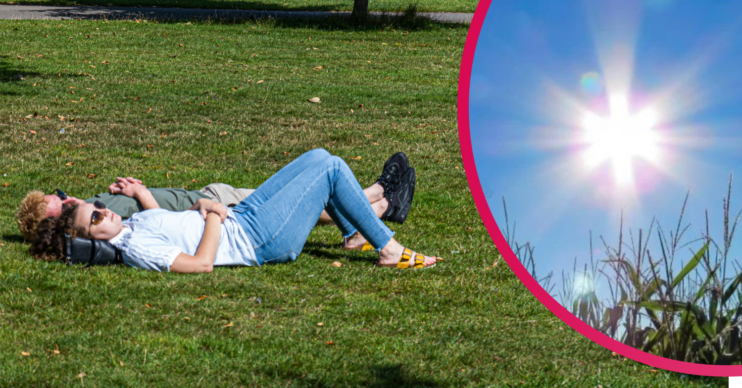 Sunbathers in London soak up the UK heatwave