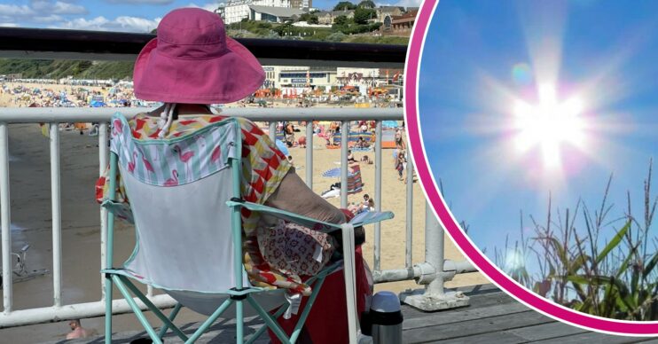 A sunbather sits near the beach