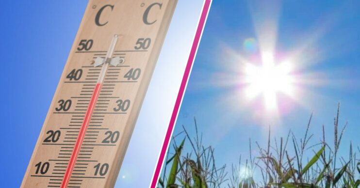 Thermometer shows the mercury rising