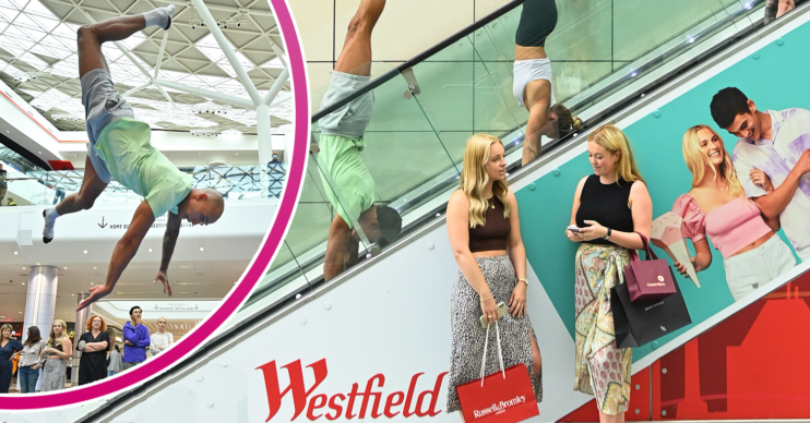 Gymnasts at Westifeld
