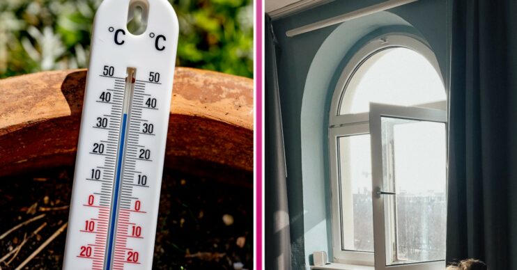 Heatwave hack involves opening windows to stay cool inside