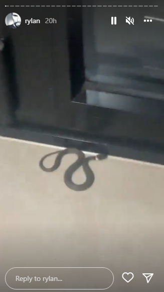 Rylan Clark films snake on his Instagram